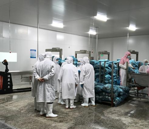 泰国TEE客户到访隆鑫健达分公司进行验厂