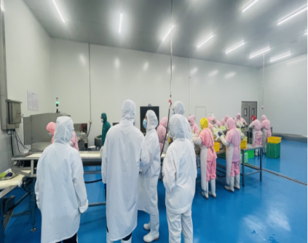 三星客户到厂进行审核